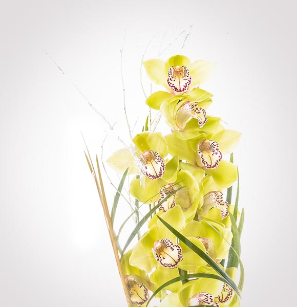 sopek z zeleno orhidejo v tulcu