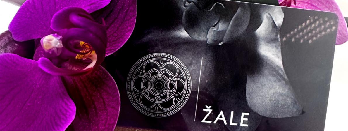 Vrednostna sozalna kartica Zale 1