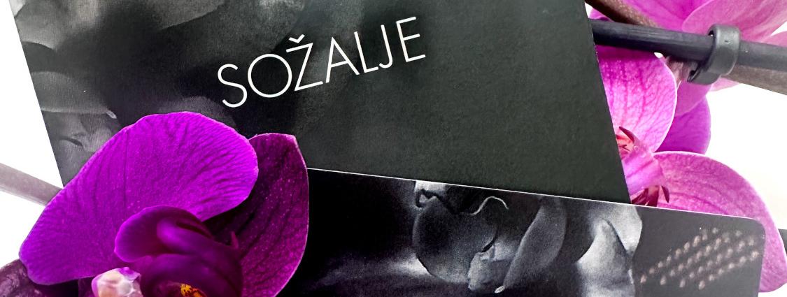 Vrednostna sozalna kartica Zale glavna