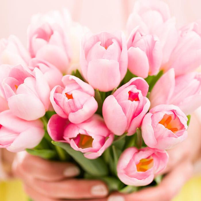 Šopek roza tulipanov.