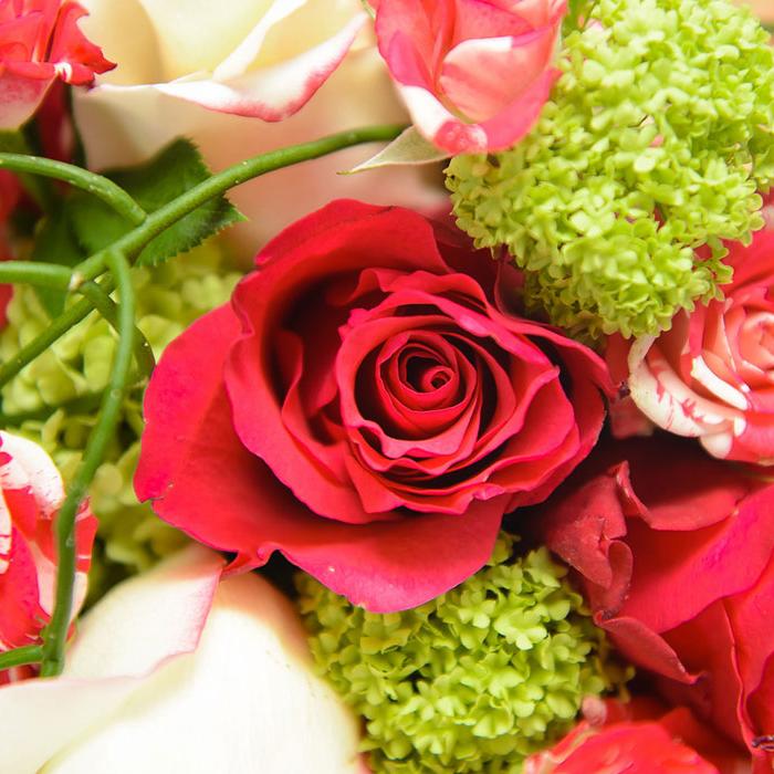 Poročni šopek z vrtnicami.